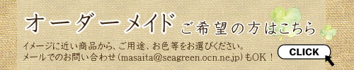 センターナビ