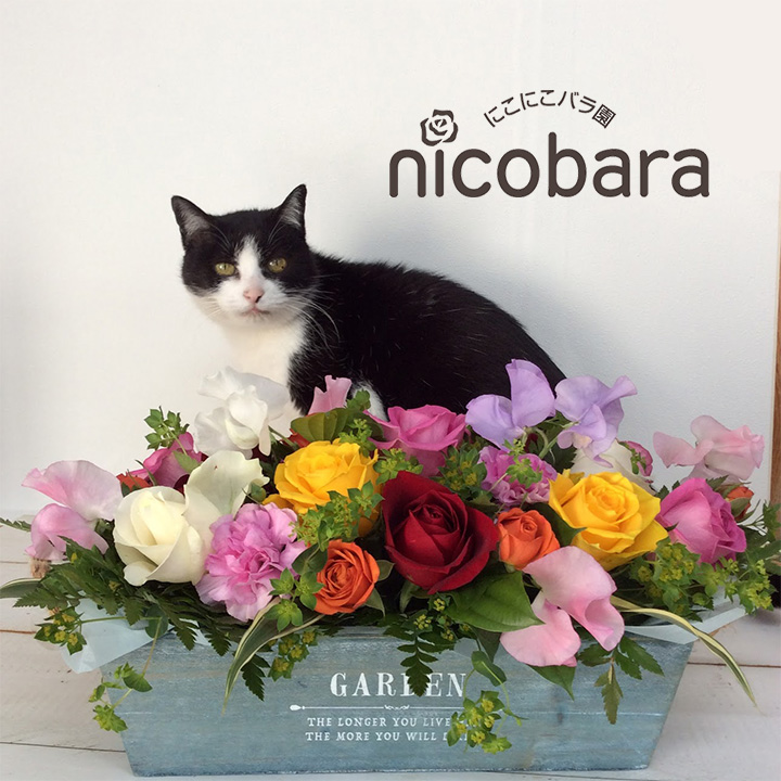 テーブルアレンジ7000円A（生花）　送料込み！