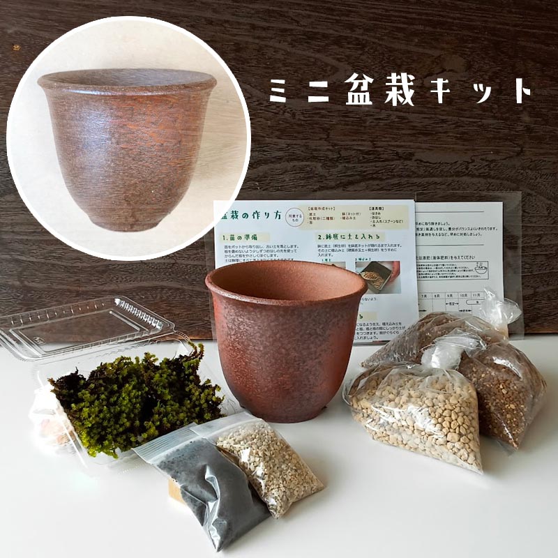 盆栽キット 植え替え用材料 盆栽キット 万古焼 （朱深丸鉢