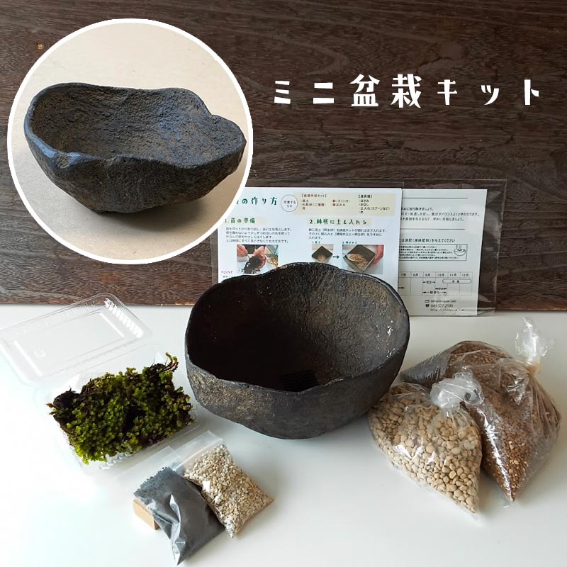 盆栽作りや盆栽の植え替えにピッタリのキット【盆栽キット人工