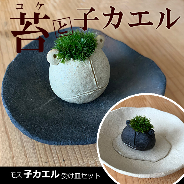 モスモス 作家 真山茜 モス子カエル ( 選べる色 ) 受け皿セット 蛙 かえる