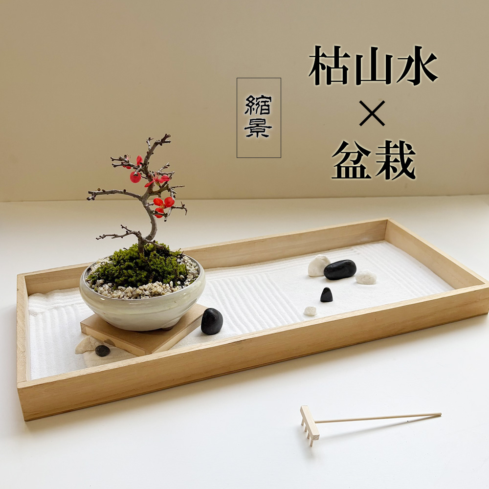 枯山水玉砂利紅長寿梅
