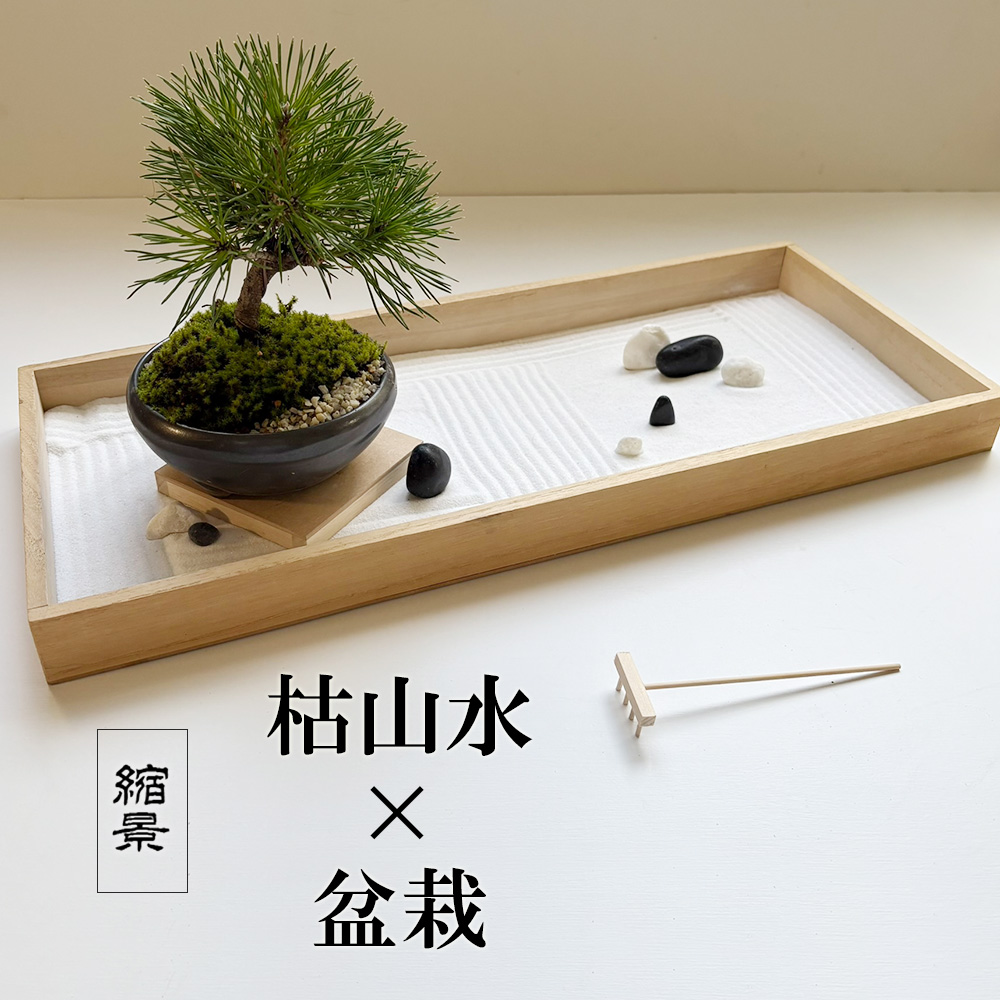 枯山水玉砂利黒松