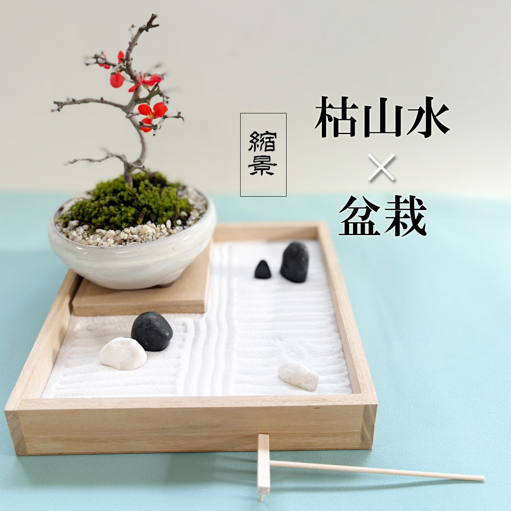 枯山水玉砂利長寿梅