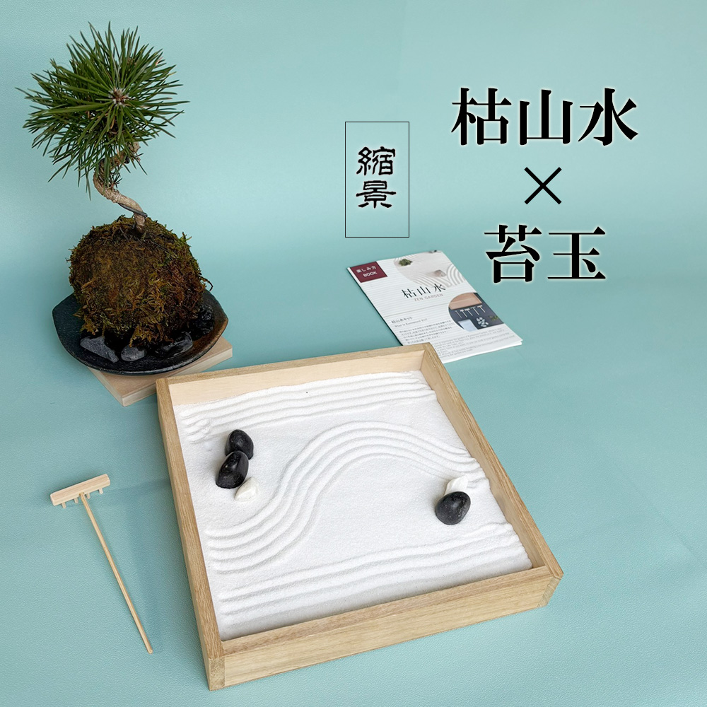 枯山水玉砂利黒松