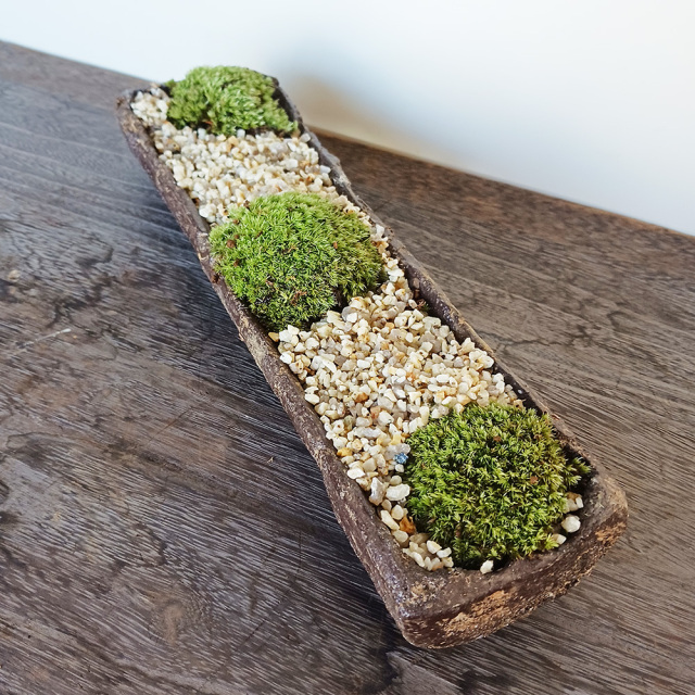 苔盆栽くらま
