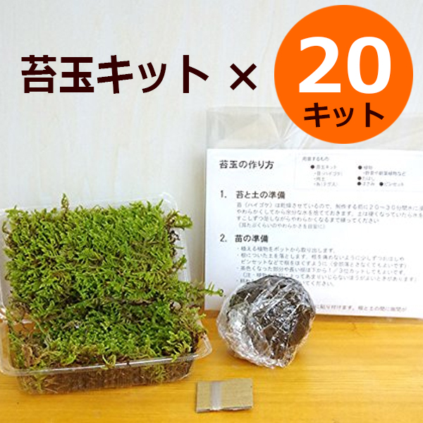 苔玉・苔 skullholic 苔とも - 苔玉などのグリーンアメニティの製造販売