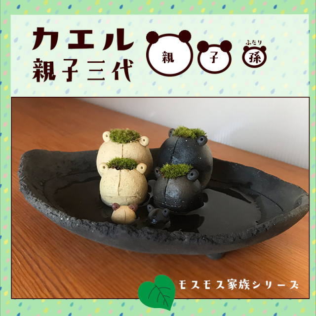 苔（コケ）がかわいい 真山茜さんのモスモス家族シリーズ カエル三代