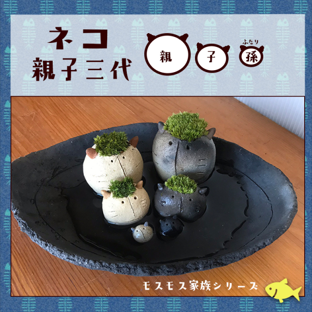 三代ネコ