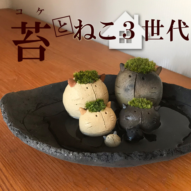 三代ネコ