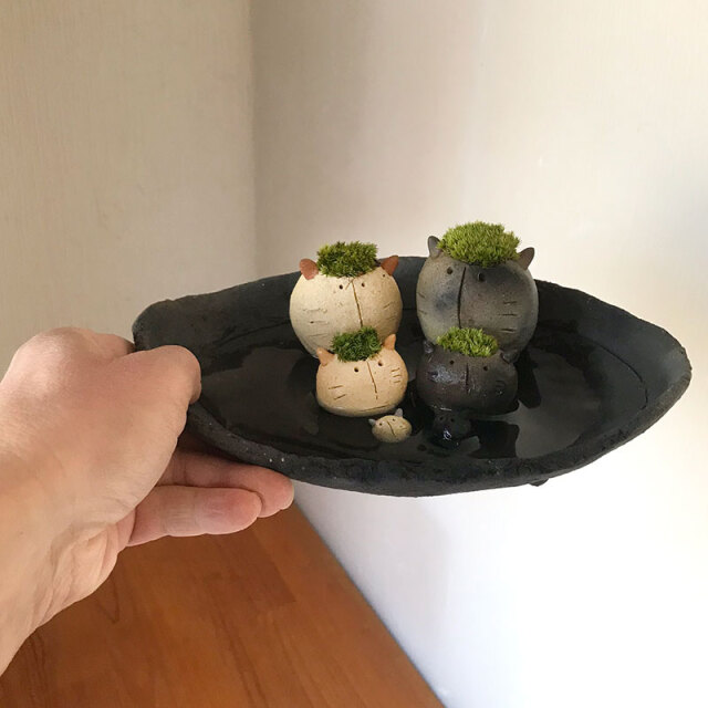 三代ネコ