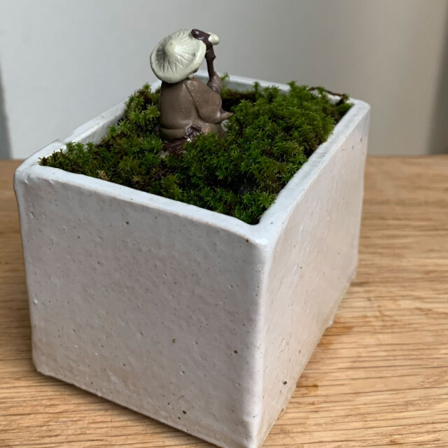 苔盆栽 瞑想する仙人 万古焼創作角鉢 仙人 神様 苔盆栽 瞑想する仙人 万古焼創作角鉢 仙人 神様