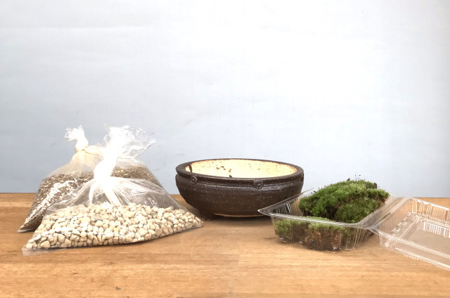 盆栽キット信楽焼茶鉢