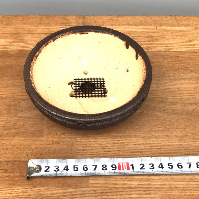 盆栽キット信楽焼茶鉢