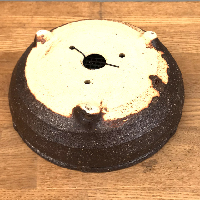 盆栽キット信楽焼茶鉢