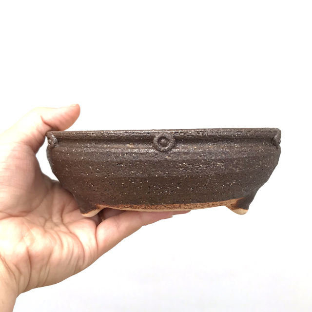 盆栽キット信楽焼茶鉢