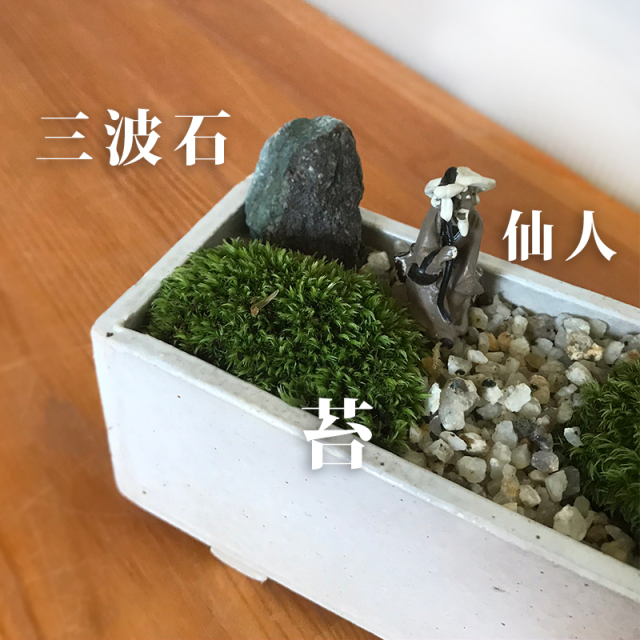 ヤマモミジ