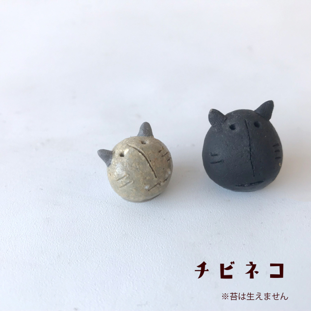 ネコ