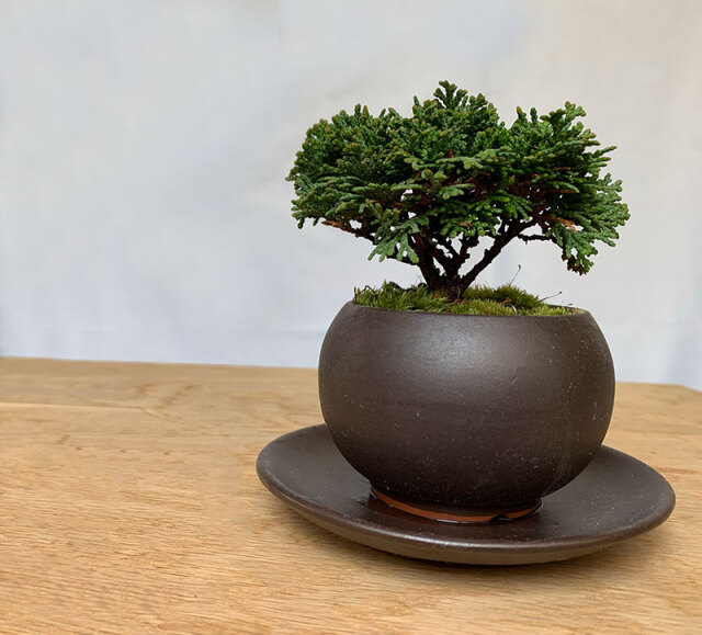 送料無料。壮大な景色をお楽しみください【連山檜（れんざんひのき）の