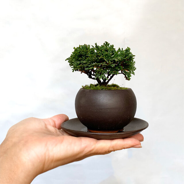 送料無料。壮大な景色をお楽しみください【連山檜（れんざんひのき）の