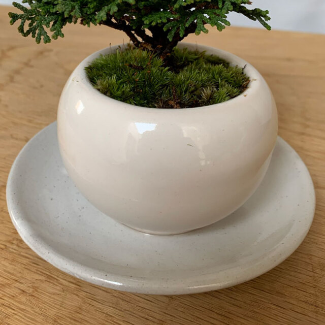 送料無料！壮大な景色をお楽しみください【連山檜（れんざんひのき）の