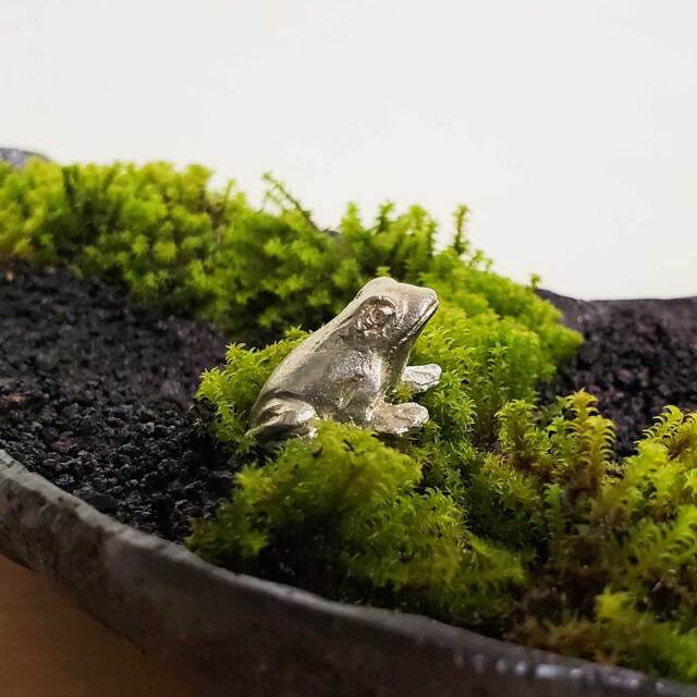 蛙錫