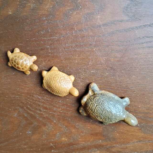 亀３兄弟