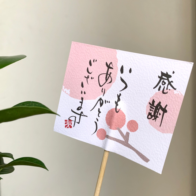 送料無料 盆栽 ガジュマル くらま岩風鉢 多幸の樹 縁起の樹 キジムナー ガジュマル盆栽