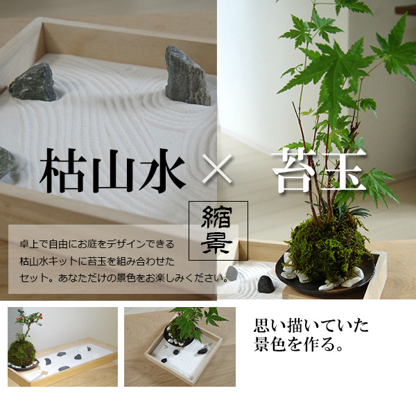 枯山水　苔玉