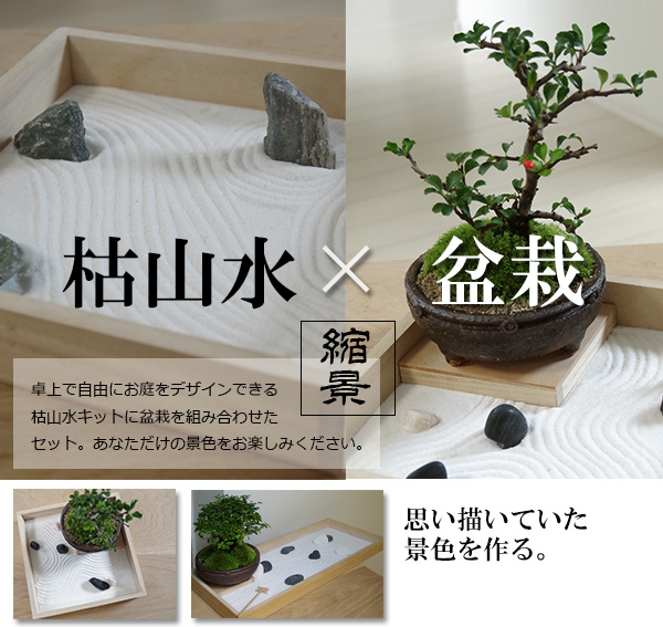 枯山水　盆栽