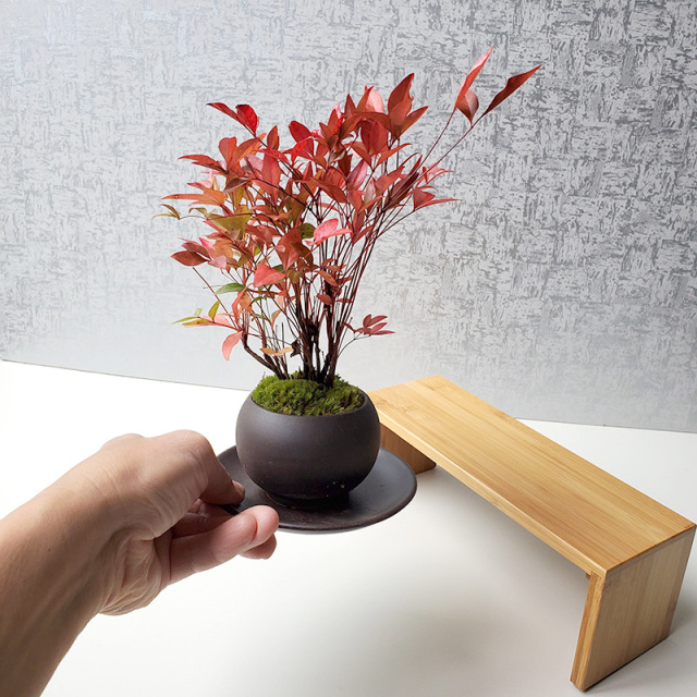 送料無料でお届け！いにしえの和をお届けします【南天（なんてん）の