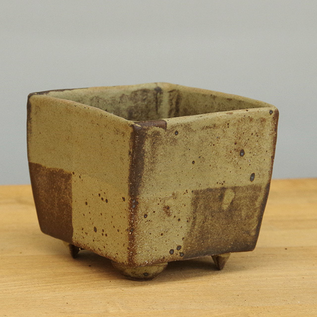 鉢は樹や草花の表情をがらっと変える 盆栽鉢 陶芸作家 川名萌子