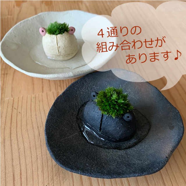 mossmoss カエル