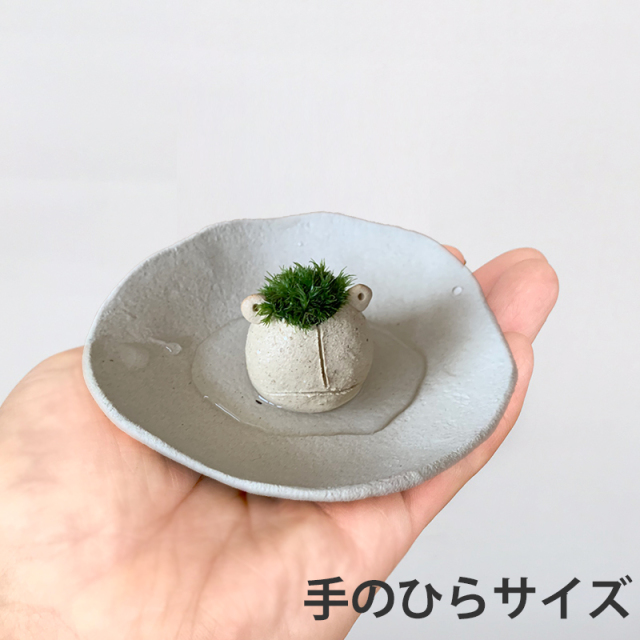 mossmoss カエル