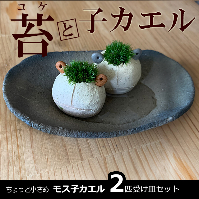 モスモスシリーズ 作家 真山茜氏【モス子カエル2匹（選べる色