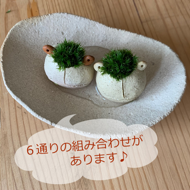 mossmoss カエル
