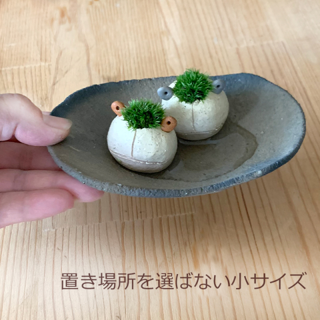 mossmoss カエル