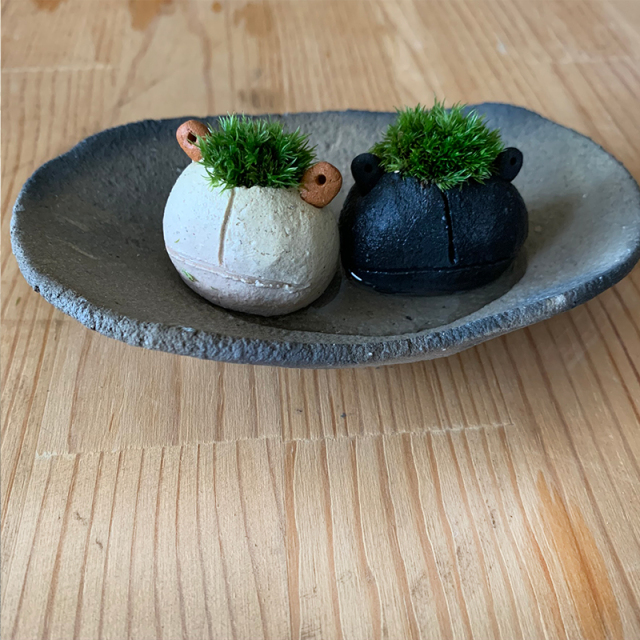 mossmoss カエル