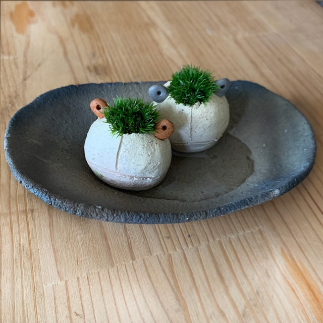 mossmoss カエル