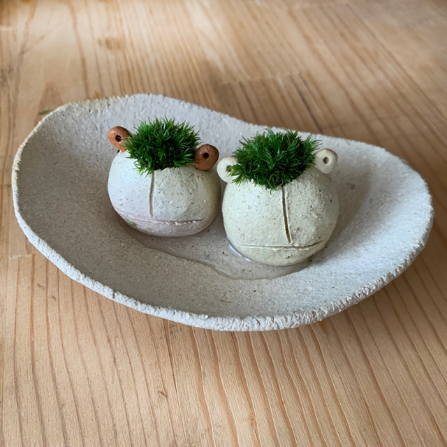 mossmoss カエル