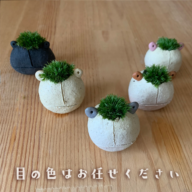 mossmoss カエル