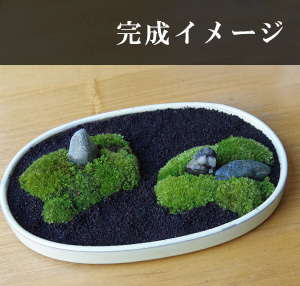自分でつくる苔盆栽