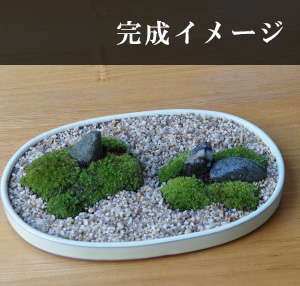 自分でつくる苔盆栽