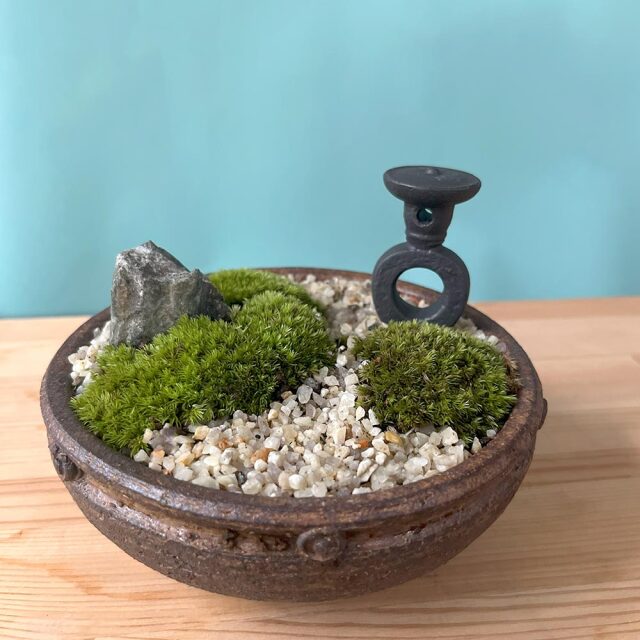 苔盆栽　京の趣