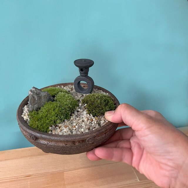 苔盆栽　京の趣
