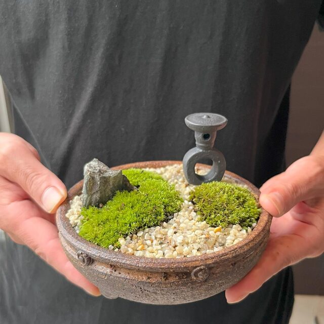 苔盆栽　京の趣