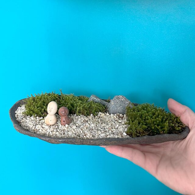 盆栽 コンクリート鉢 苔付き IMG_8658-scaled.jpg