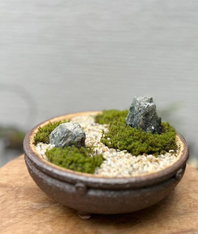小さな世界で雄大な景色を【苔盆栽（こけぼんさい）信楽焼茶鉢】