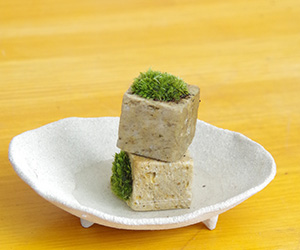 苔キューブ真山茜201610b