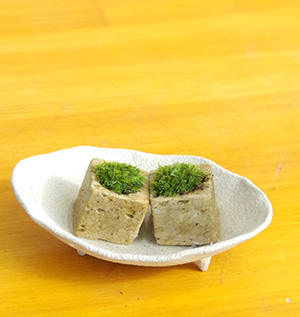 苔キューブ真山茜201610c